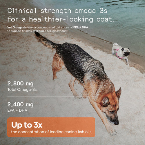 Vet Omega